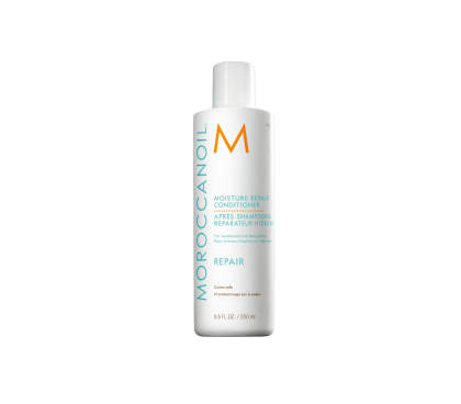Après-Shampooing réparateur hydratant - Pour les cheveux fragilisés ou endommagés - 250 ml