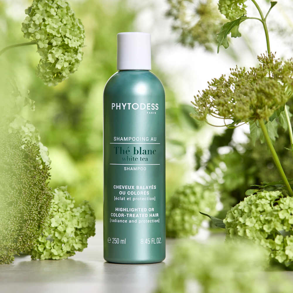 Shampooing au thé blanc - Eclat et protection